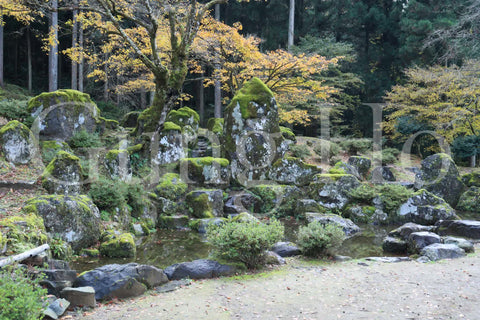 Suwayakata ruins garden