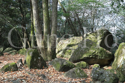 Roca Kibi Nakayama Yataiwa