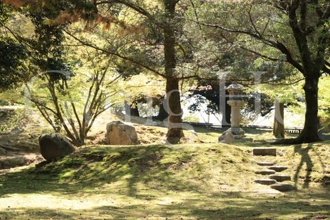 興福寺大湯屋庭園