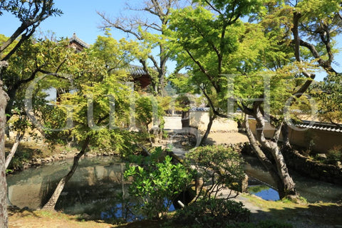 Shinyakushiji Temple