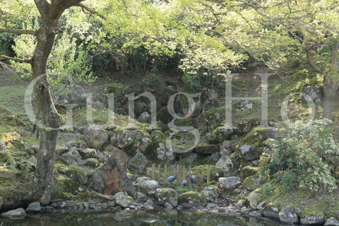 Nara Park Ukigumoenchi