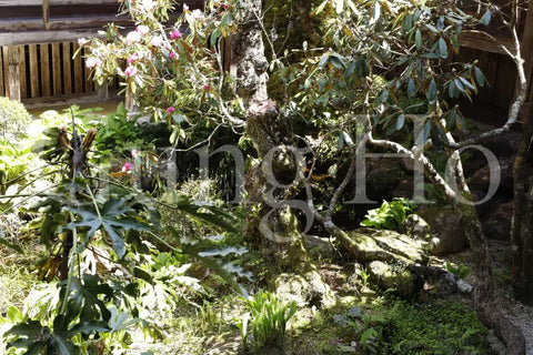 Kongobu-ji Temple Courtyard (Tsuboniwa)