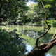 Takagamo Shrine