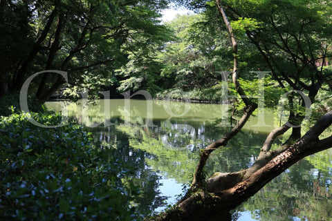 Takagamo Shrine