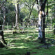秋篠寺庭園