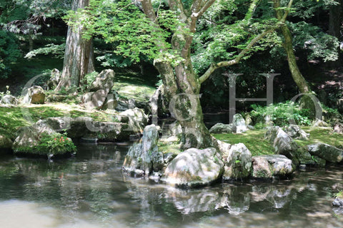 Kitabatake Residence Garden 3