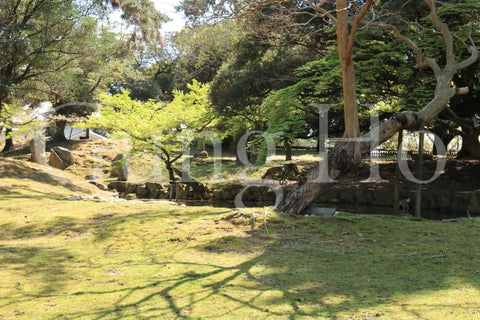 Kofukuji Oyuya Garden