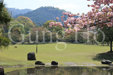 Nara Park Kasuganoenchi