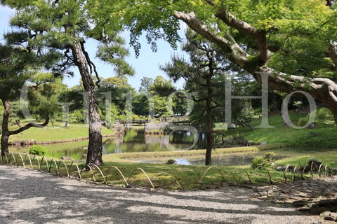 Hikone Castle Genkyuen 1