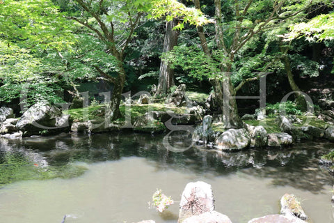 Kitabatake Residence Garden 3