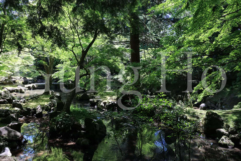 Kitabatake Residence Garden 3