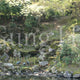 奈良公園浮雲園地