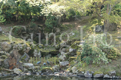 奈良公園浮雲園地