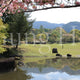 Nara Park Kasuganoenchi