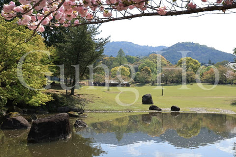 Nara Park Kasuganoenchi