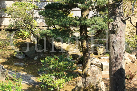 Shinyakushiji Temple