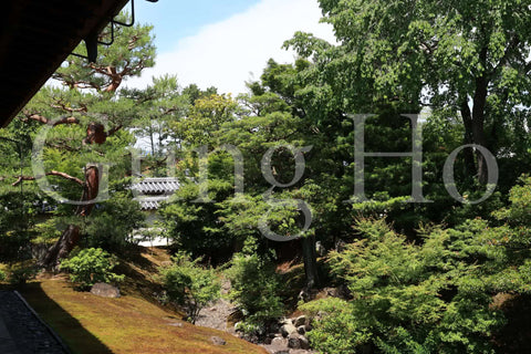 Jardín norte de Shokokuji Hojo