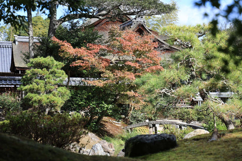 Hyozu Taisha Shrine