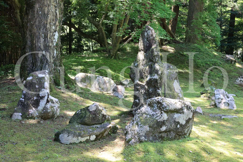 Kitabatake Residence Garden 3