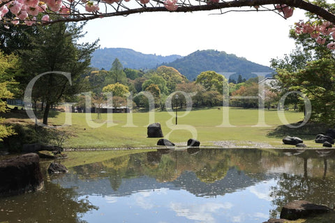 Nara Park Kasuganoenchi