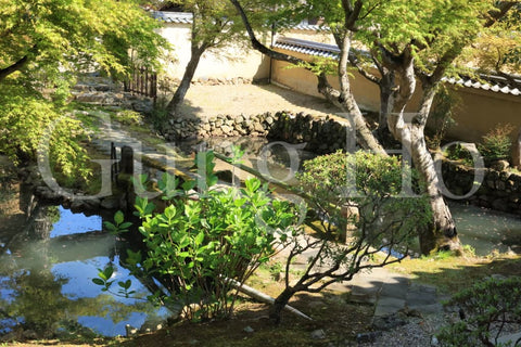 Shinyakushiji Temple