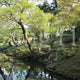 Nara Park Ukigumoenchi