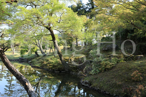 Nara Park Ukigumoenchi