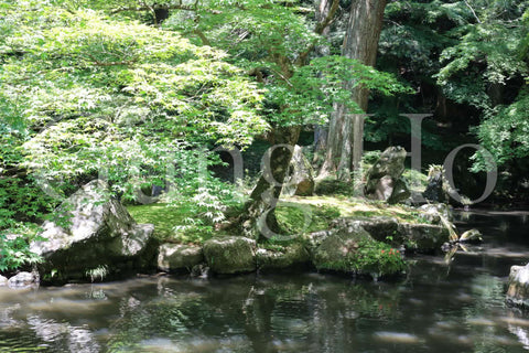 Kitabatake Residence Garden 3