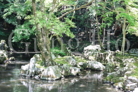 Kitabatake Residence Garden 3