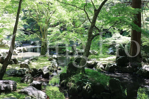 Jardín de la residencia de Kitabatake 4