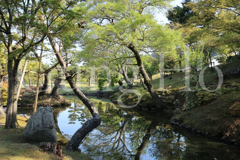 Nara Park Ukigumoenchi