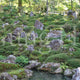 Saimyoji Temple Horai Garden