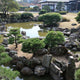 Antiguo Castillo de Tokushima Jardín Omote Goten