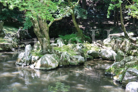 Jardín de la residencia de Kitabatake 4