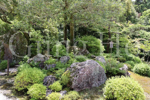 Chion-in Hojo Garden