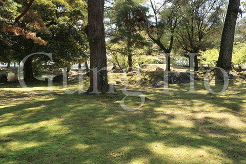 Kofukuji Oyuya Garden