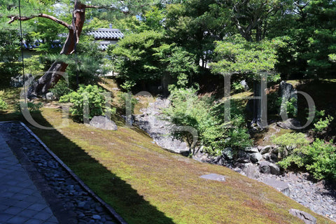 Shokokuji Hojo North Garden