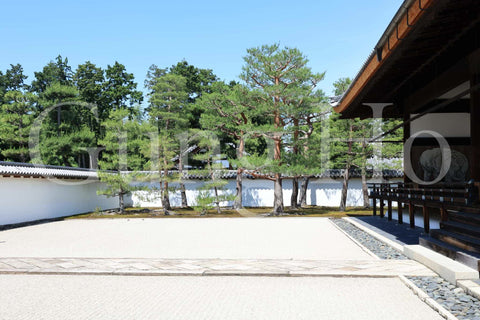 Shokokuji Hojo South Garden